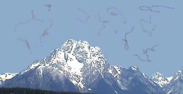 Những hiện tượng thị giác xảy ra với con mắt, bạn đã từng bị chưa? ảnh 1