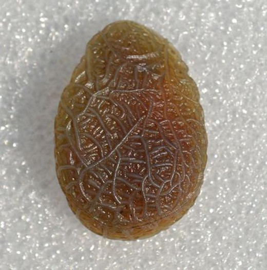 Chính vì thế, nhiều người giữ chúng bên mình như lá bùa hộ mệnh.