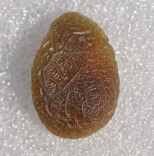 Chính vì thế, nhiều người giữ chúng bên mình như lá bùa hộ mệnh.