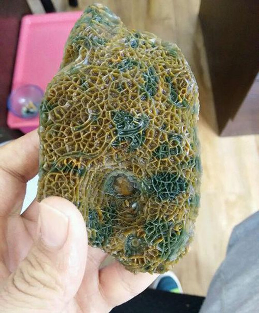 Sự thật về cục đá có hàng triệu con giun lúc nhúc giúp chủ đổi đời