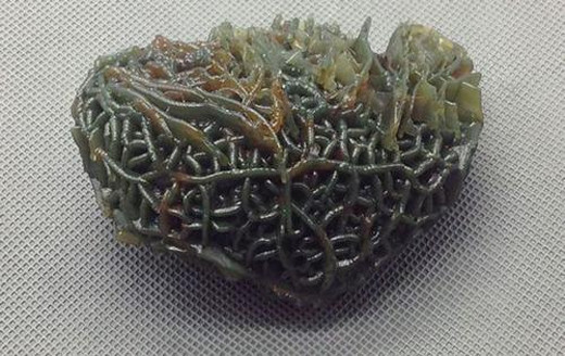 Sự thật về cục đá có hàng triệu con giun lúc nhúc giúp chủ đổi đời