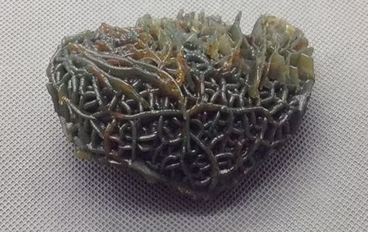 Sự thật về cục đá có hàng triệu con giun lúc nhúc giúp chủ đổi đời