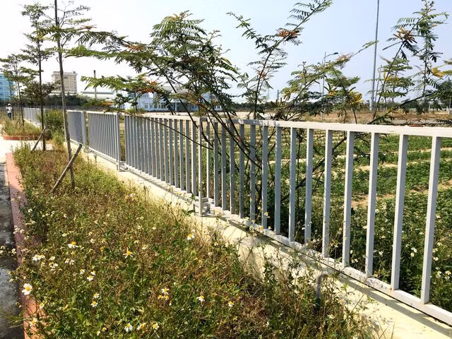 Trường mầm non bỏ hoang