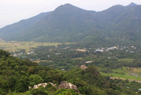 Chuyện ly kỳ về loài rắn khổng lồ ở núi Cấm tỉnh An Giang hình ảnh 4 chuyen ly ky ve loai ran khong lo o nui cam tinh an giang hinh anh 4