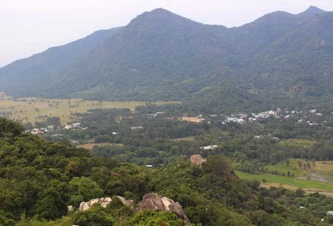 chuyen ly ky ve loai ran khong lo o nui cam tinh an giang hinh anh 4