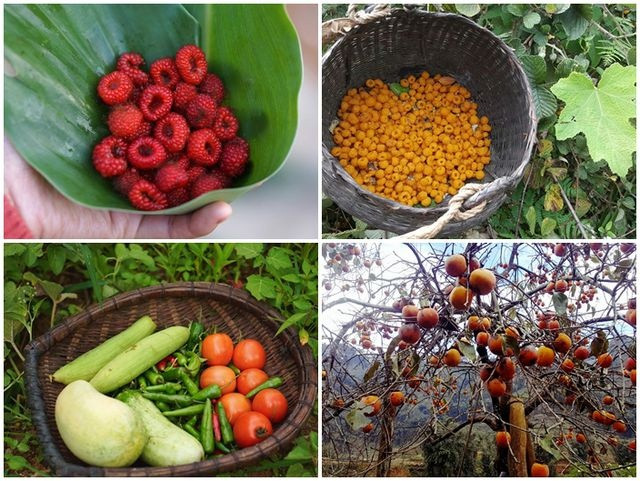 Cận cảnh cuộc sống đẹp như mơ của “Lý Tử Thất” Việt Nam ảnh 10