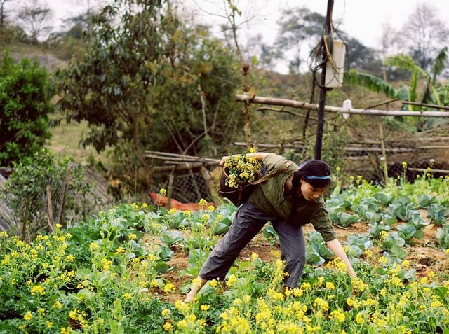 Cận cảnh cuộc sống đẹp như mơ của “Lý Tử Thất” Việt Nam ảnh 3