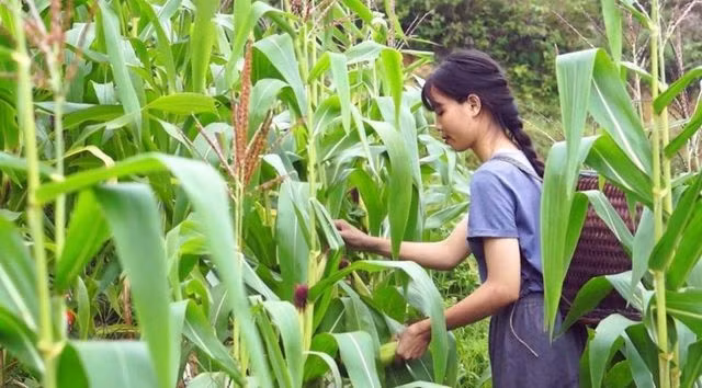 Cận cảnh cuộc sống đẹp như mơ của “Lý Tử Thất” Việt Nam ảnh 7