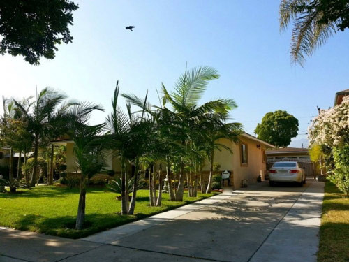 Biết được độ giàu có của ca sĩ Quang Lê chắc bạn sẽ phải 