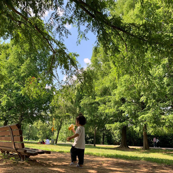 Nữ thần hết thời Chae Rim: Sống cô đơn tại quê nhà sau tin đồn bị chồng trẻ phản bội?-9