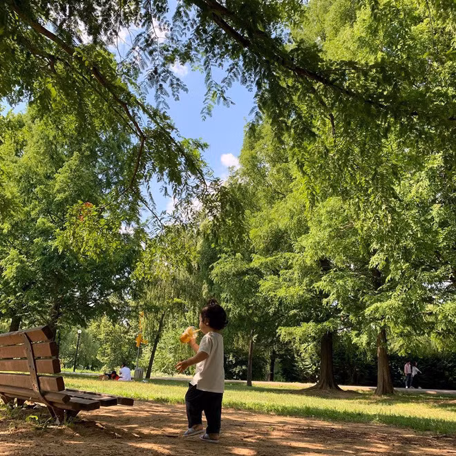 Nữ thần hết thời Chae Rim: Sống cô đơn tại quê nhà sau tin đồn bị chồng trẻ phản bội?-9