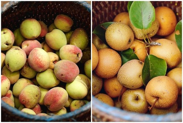 Cận cảnh cuộc sống đẹp như mơ của “Lý Tử Thất” Việt Nam ảnh 9