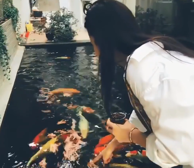 Trước khi cưới Ông Cao Thắng, Đông Nhi đã sở hữu khối tài sản đáng ngưỡng mộ ảnh 5 Trước khi cưới Ông Cao Thắng, Đông Nhi đã sở hữu khối tài sản đáng ngưỡng mộ ảnh 5