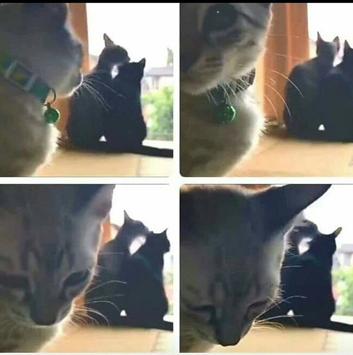 Người đứng sau hạnh phúc.