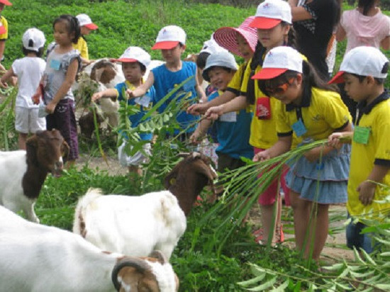 Trẻ em thành phố trải nghiệm làm nông trại tại vùng ngoại thành
