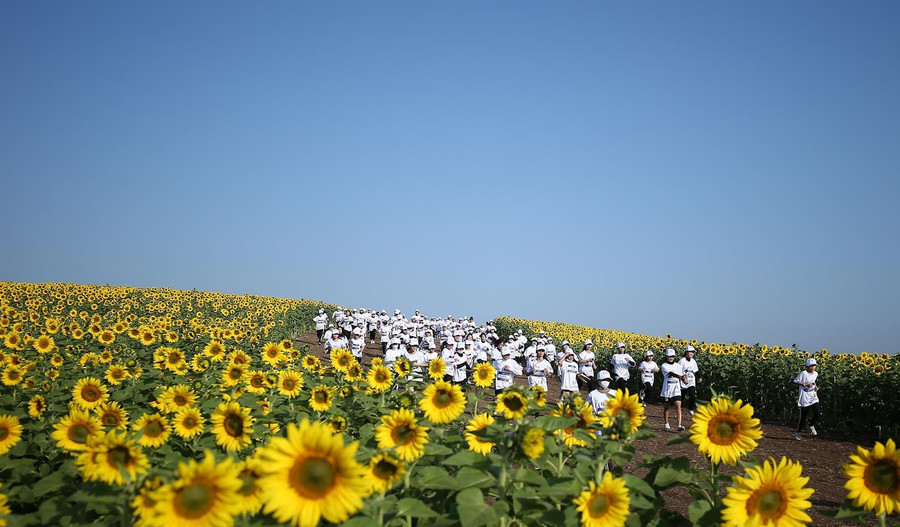 Cung đường chạy hoa hướng dương được đánh giá là một trong những cung đường chạy “thơ mộng” nhất của S-Race 2022