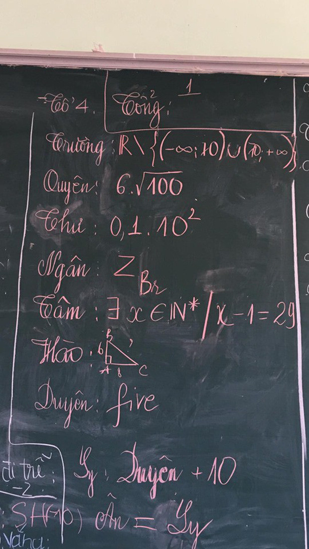 Team dốt toán hoa mắt trước công thức chấm điểm thi đua của dân Tự nhiên ảnh 1 Ảnh: Thái Hồng Ngân/Trường Người Ta.