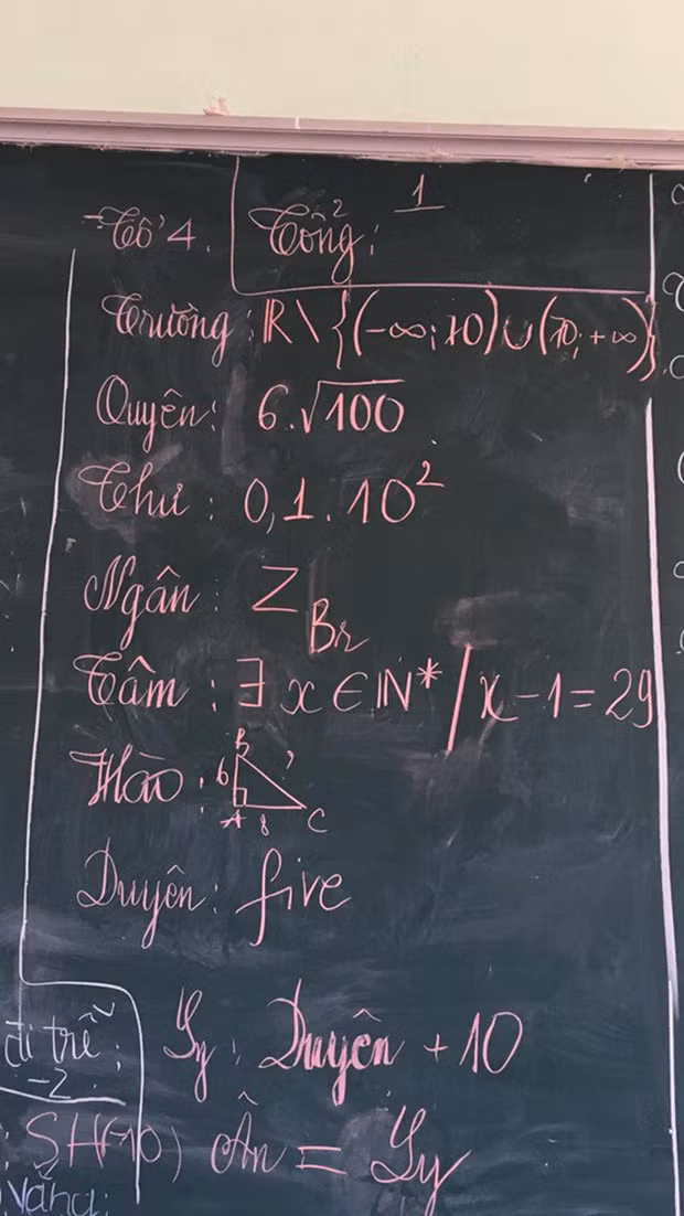 Ảnh: Thái Hồng Ngân/Trường Người Ta.