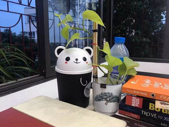 Trào lưu trồng cây cảnh để bàn hot nhất hè 2018: Nhất định phải là cây khoai lang đấy nhé! - Hình 11