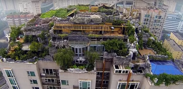 Xây núi khổng lồ trên sân thượng chung cư, ông bác sĩ điên rồ vấp phải sự phản đối và phẫn nộ lớn từ người dân và chính quyền - Hình 6