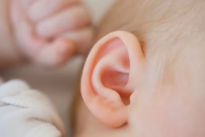 Đau tai, chảy dịch, sốt... có thể là dấu hiệu của viêm tai giữa cấp. Ảnh minh họa: A.M.