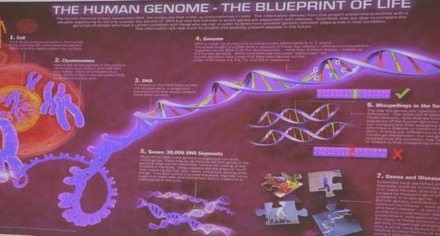 Giảng viên ĐH xây dựng thành công hệ gene một người Việt