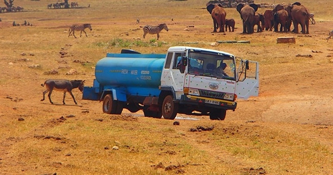 ‘Người hùng’ Kenya chở nước cứu thú rừng ‘Nguoi hung’ Kenya cho nuoc cuu thu rung
