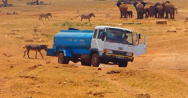 ‘Nguoi hung’ Kenya cho nuoc cuu thu rung