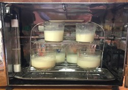 Thiết bị hâm nóng đồ ăn, đồ uống và máy làm sữa chua do học sinh nhà trường chế tạo.