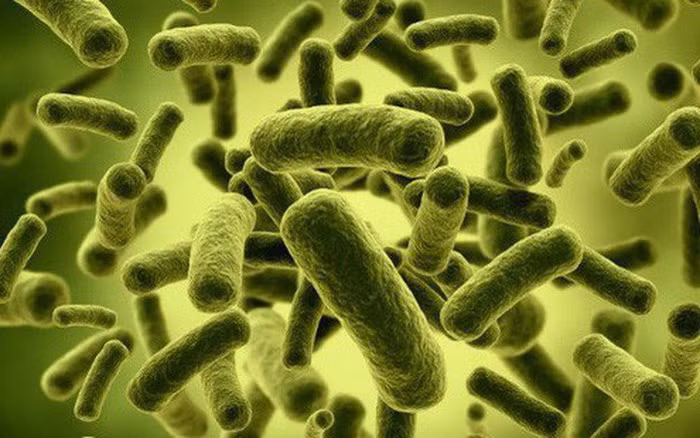 photo1509849132509-1509849132605-2-48-312-545-crop-1509849175377