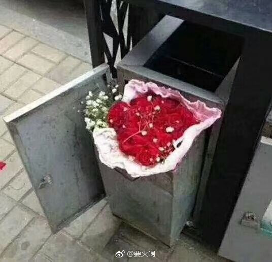 Ảnh buồn: Đến thùng rác cũng có hoa vào ngày Valentine còn đội ế thì không - Ảnh 3. Ảnh buồn: Đến thùng rác cũng có hoa vào ngày Valentine còn đội ế thì không - Ảnh 3.