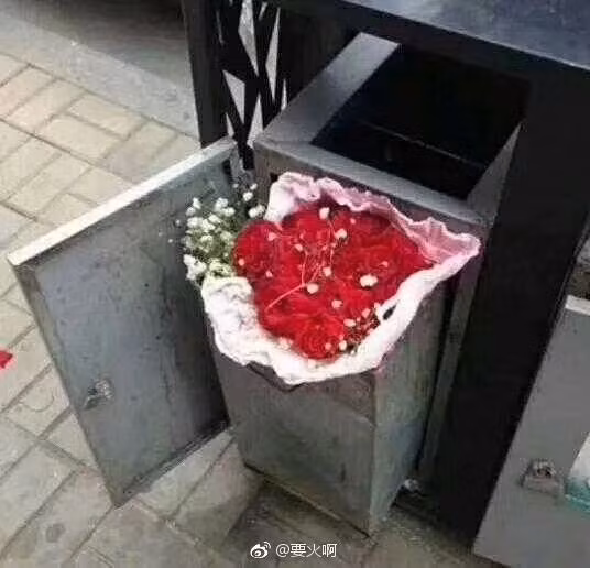 Ảnh buồn: Đến thùng rác cũng có hoa vào ngày Valentine còn đội ế thì không - Ảnh 3.
