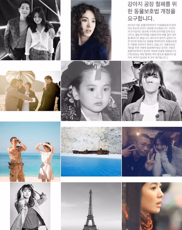 Hoang mang cực độ khi cặp đôi Song Hye Kyo và Song Jong Ki bị đồn thổi đã ly hôn