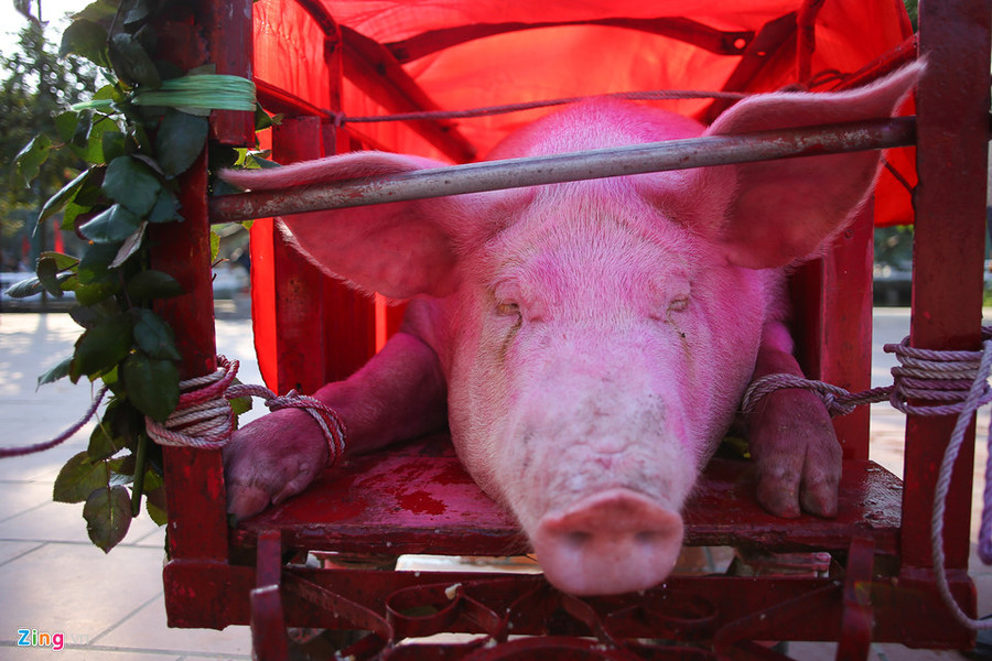 Nghi le chem lon lang Nem Thuong van dien ra kin dao hinh anh 2