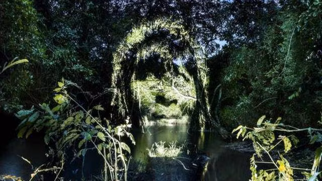 Vùng đất chứa kho báu 10 tấn vàng vẫn chưa ai tìm được, cơ hội cho ai muốn đổi đời