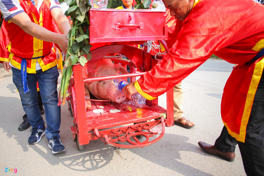 Nghi le chem lon lang Nem Thuong van dien ra kin dao hinh anh 5