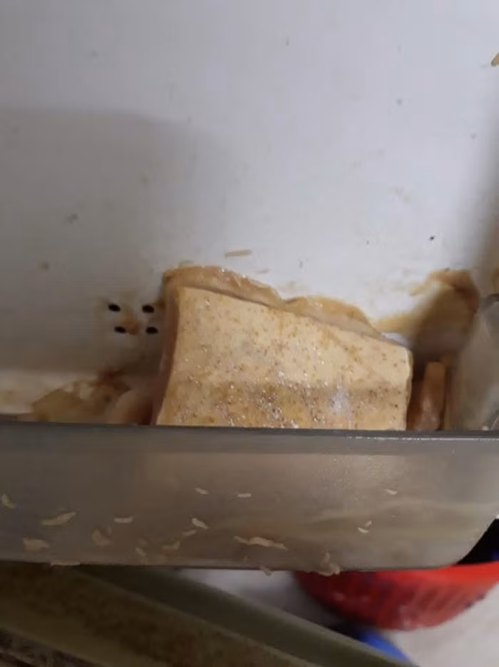 Hình ảnh ám ảnh nhất sau khi trở lại nhà trọ sau Tết, bên trong tủ lanh xuất hiện cả sinh vật lạ nhìn qua cũng hết hồn