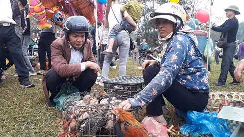 Chợ phiên mỗi năm họp duy nhất một lần: “Choảng” nhau càng to, càng may mắn ảnh 6