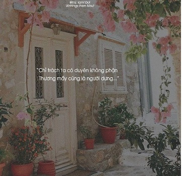 20 câu ngôn tình thanh xuân triệu like dành cho hội "sống ảo" ảnh 15 20 câu ngôn tình thanh xuân triệu like dành cho hội "sống ảo" ảnh 15