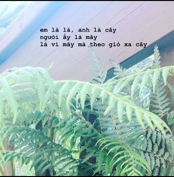 20 câu ngôn tình thanh xuân triệu like dành cho hội "sống ảo" ảnh 1 20 câu ngôn tình thanh xuân triệu like dành cho hội "sống ảo" ảnh 1