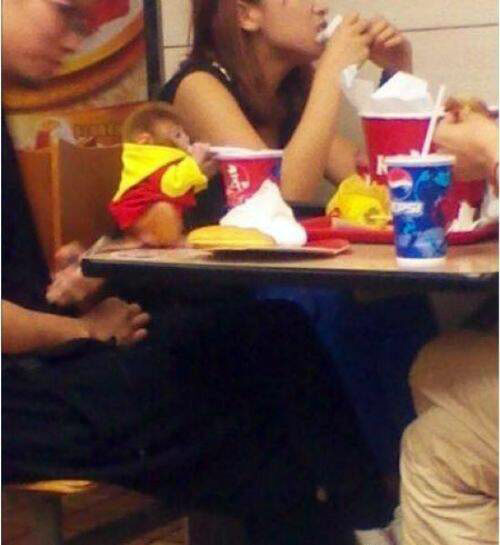 Khỉ đi ăn KFC.