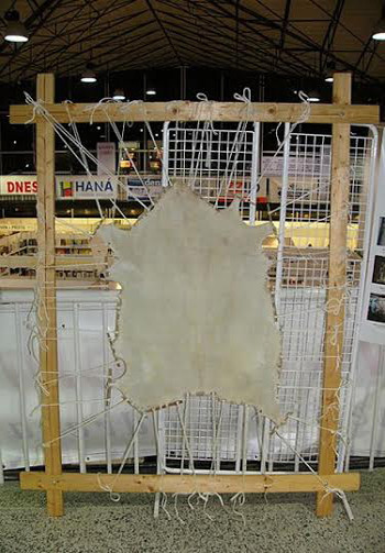 Căng da trên khung gỗ để làm giấy da. Căng da trên khung gỗ để làm giấy da.