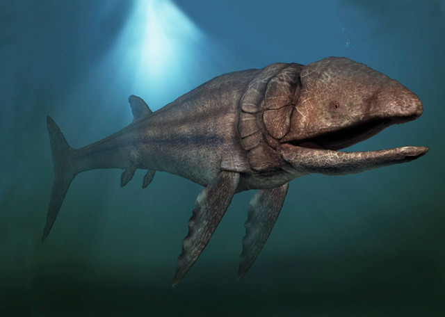 Những “quái vật” khổng lồ nhất đã và đang tồn tại trên Trái Đất ảnh 2 Cá Leedsichthys - Loài này chiều dài gần 16 m và trọng lượng khoảng 50 tấn