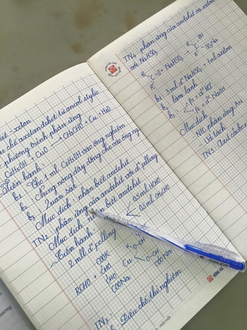 Việc viết chữ đẹp còn được Nhã tập luyện ngay cả khi chép bài giảng trên lớp. Nhã cho biết, vì bản thân đã luyện được khả năng đưa nét nhanh nên anh chàng vẫn theo kịp bài giảng mà chữ trên bài tập vẫn đẹp ngỡ ngàng. Việc viết chữ đẹp còn được Nhã