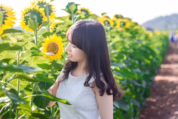 Đồng hoa xứ Nghệ đã bắt đầu nở rộ, teen có thể lên kế hoạch ngay từ bây giờ để thưởng ngoạn. 