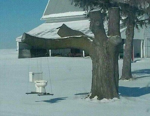 Sự kết hợp hoàn hảo giữa lãng mạn và thực tế. Sự kết hợp hoàn hảo giữa lãng mạn và thực tế.