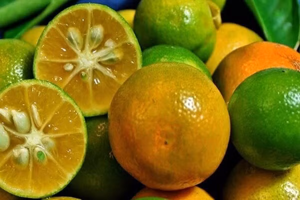 9-loai-trai-cay-giau-canxi-me-an-nhieu-cho-con-cao-lon-thong-minh-07