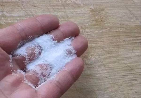 ca-tuan-khong-can-lau-ma-san-nha-van-sach-bong-nho-vai-meo-3-1523964176-835-width600height418