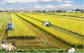 Sự kiên quyết đáng ghi nhận