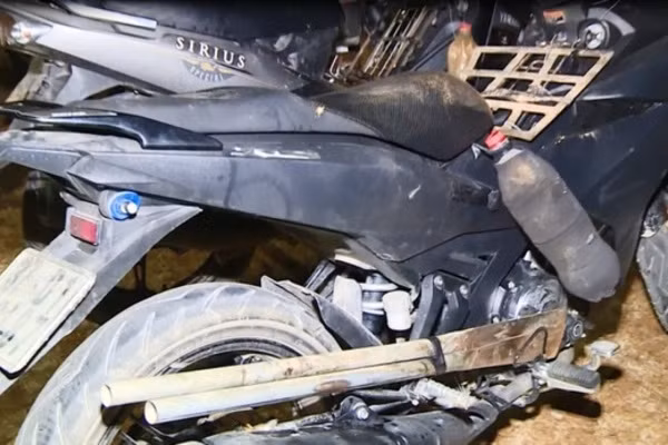 Chiếc hầm bí mật trong đường dây trộm hơn 100 tấn chó ở Thanh Hóa